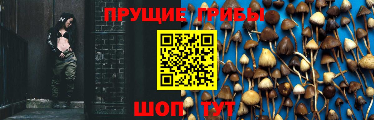 цены   Псилоцибиновые грибы Psilocybine cubensis  Серов  Вход с VPN  Галлюциногенные грибы MAGIC MUSHROOMS 