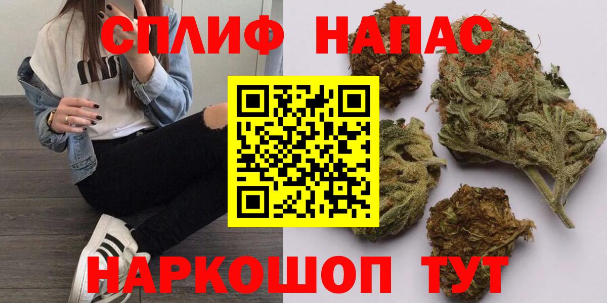 Канабис сатива Серов